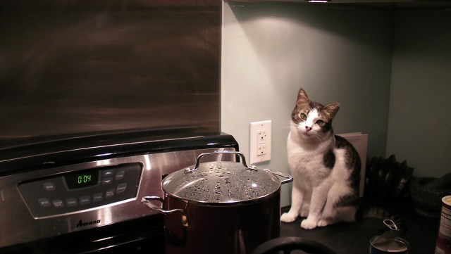 Home in NY (c) Kennie Ting 2011