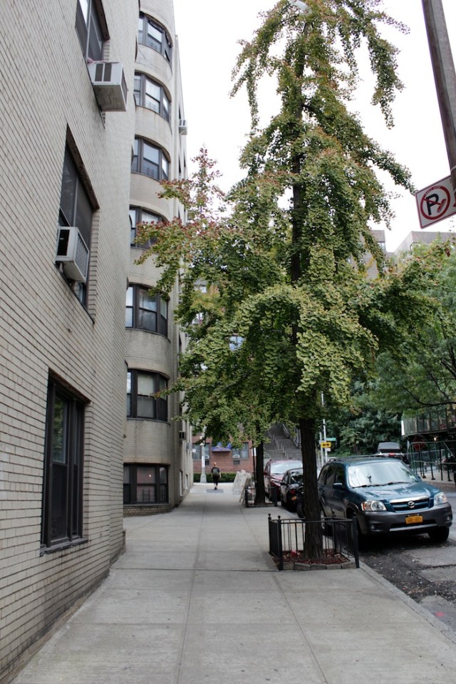Fig. 13 – Apartment buildings just before Overlook Terrace. 