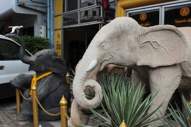 Chancing upon white elephants in Vientiane.  