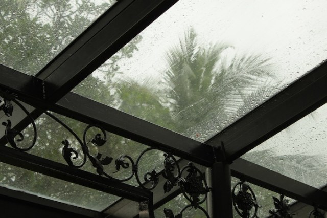 Tropical storm battering against the glass and wrought-iron canopy.