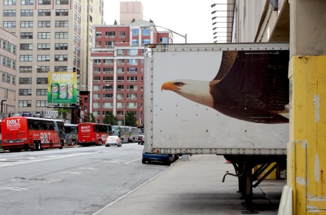 6 – The American Bald Eagle, in one of its totemic incarnations.