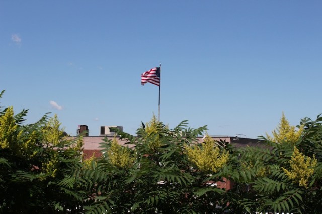 50 – And finally, a lone American flag fluttering above the Department of Sanitation, reminding us of the fragile balance that is the State of the American Union.
