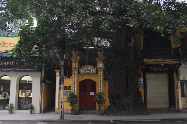 Temple behind overgrown banyan tree. Script reads “Drum Dance Pavilion.”