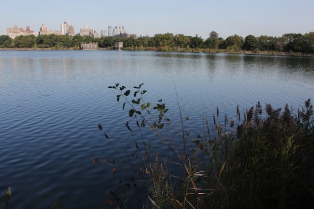 25 – Ripples of water.