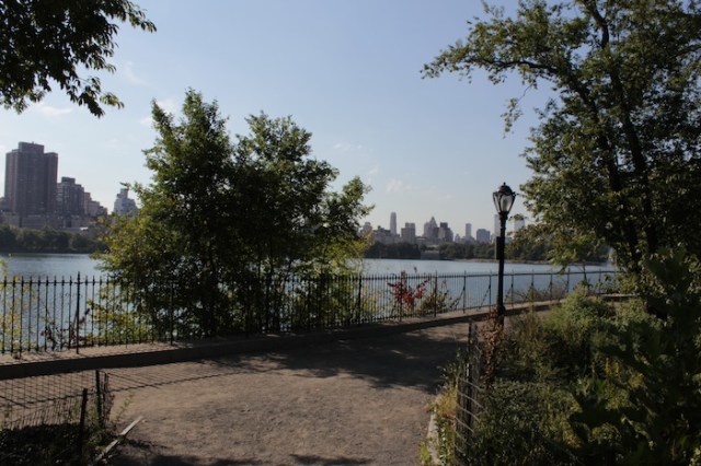 29 – Beyond the lamp-post.