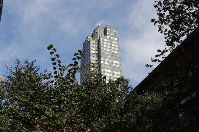 6 – Within a budding grove.