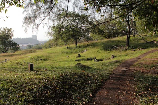 Alternate view of Bukit Cina. 