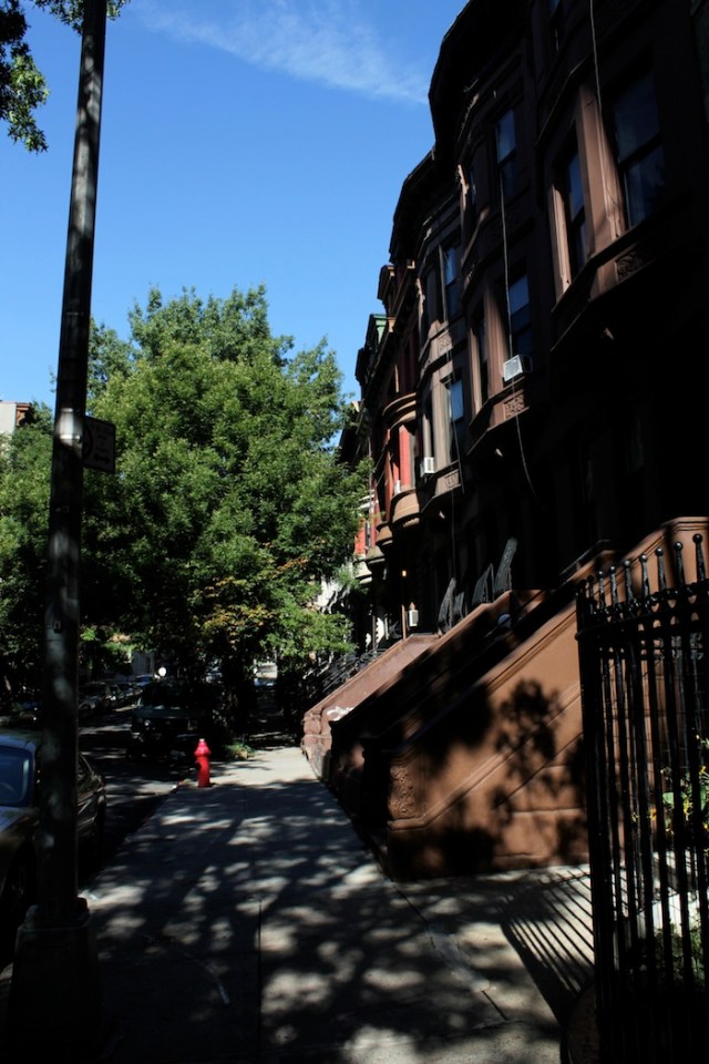 22 – Row of Brownstones. 
