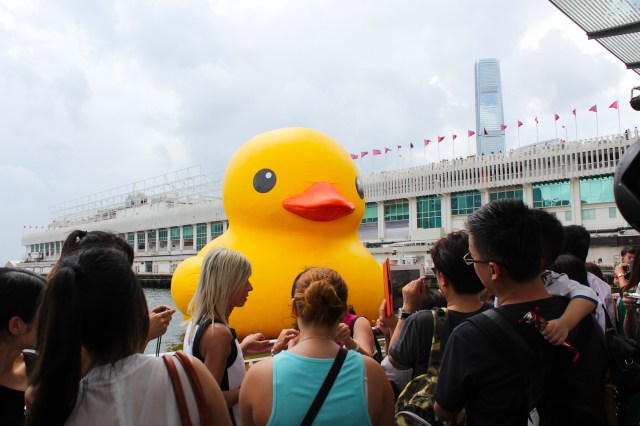 Rubber Duck, by Dutch artist Florentijn Hoffman, in Kowloon Harbour 2013