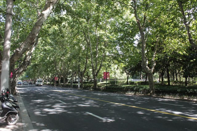 Xujiahui park was "reclaimed" from a former industrial estate that then became the centre of Shanghai's recording industry (Pathe and EMI were separately here).  The leafy, plane-tree-lined boulevard is typical of the French Concession.