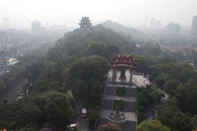 View of the small knoll that rises behind the tower.