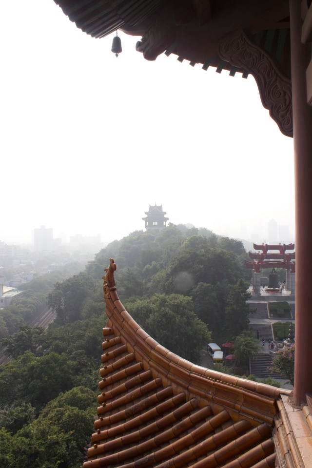 View from the top floor. 