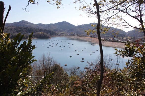 View of the Lake, with canoe-ists. 
