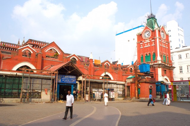 11-sir-stuart-hogg-market-1874