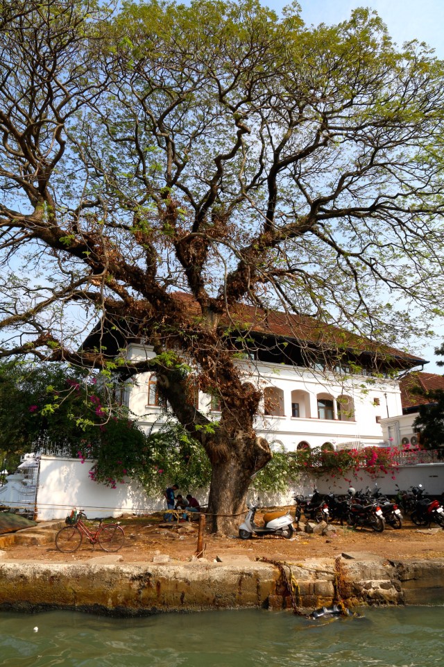 25 - Colonial Building