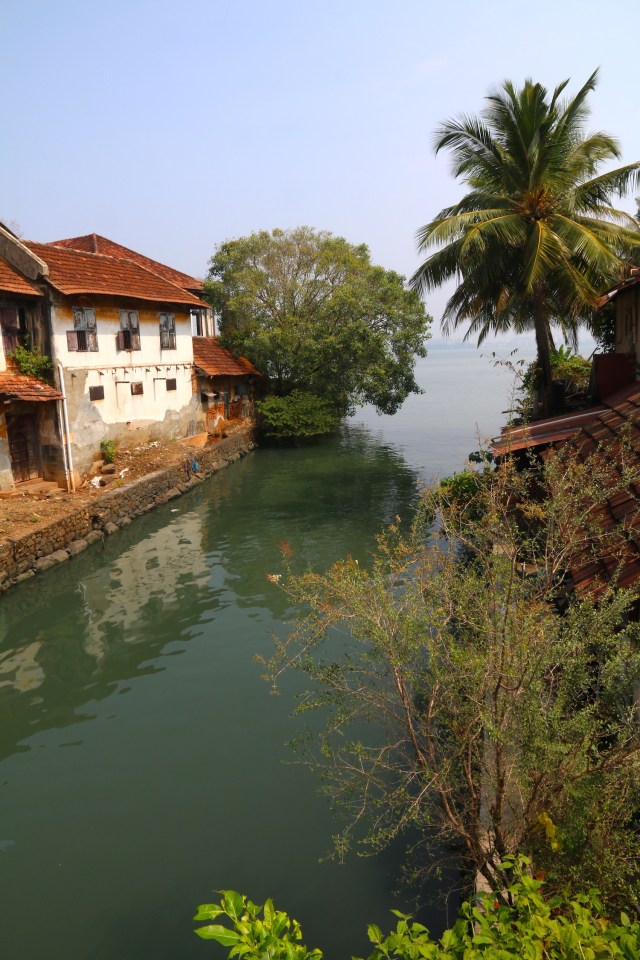 3 - Canal through Cochin