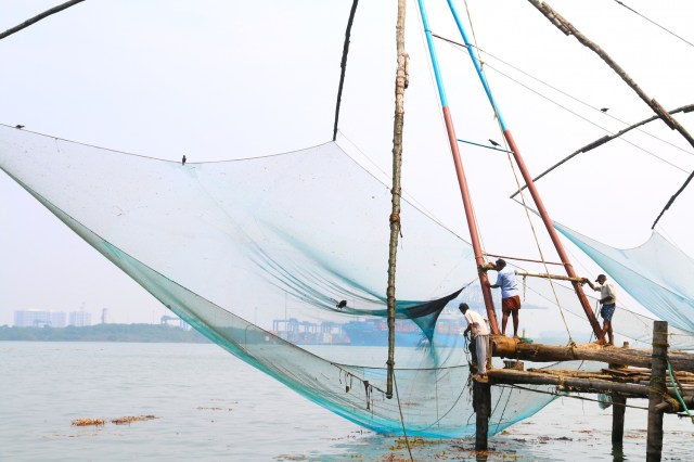 33 - Chinese Fishing Nets II