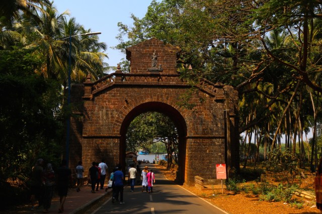 10 - Viceroys Arch Back