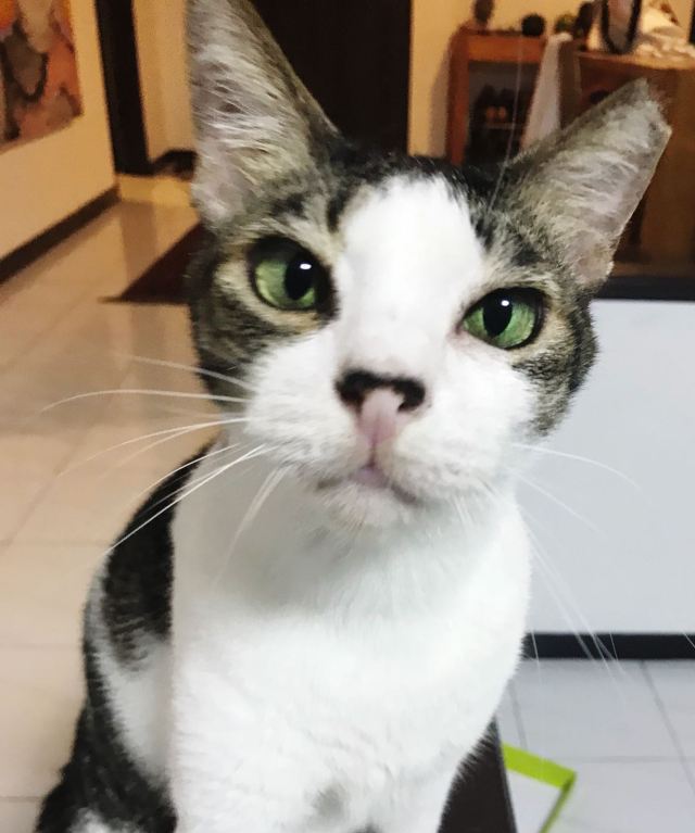 247a8acd-9997-4ead-9cd8-e10b67c42611