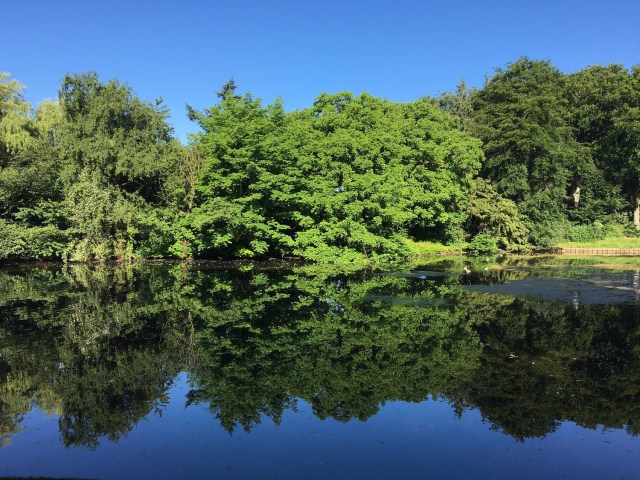 5 - Ostre Anlaeg Park Copenhagen