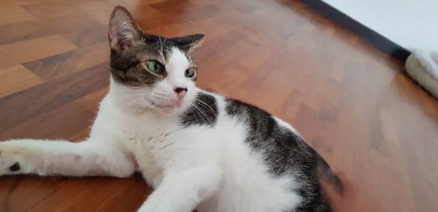 15 - In the new home