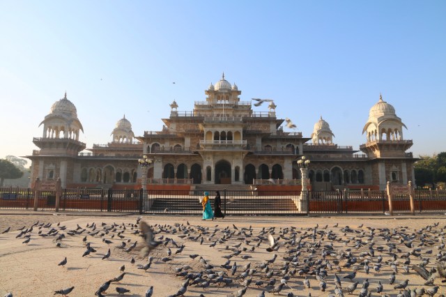 16 - Albert Hall Museum