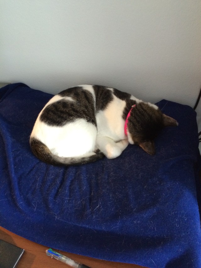 23 - Sleeping on his blankie