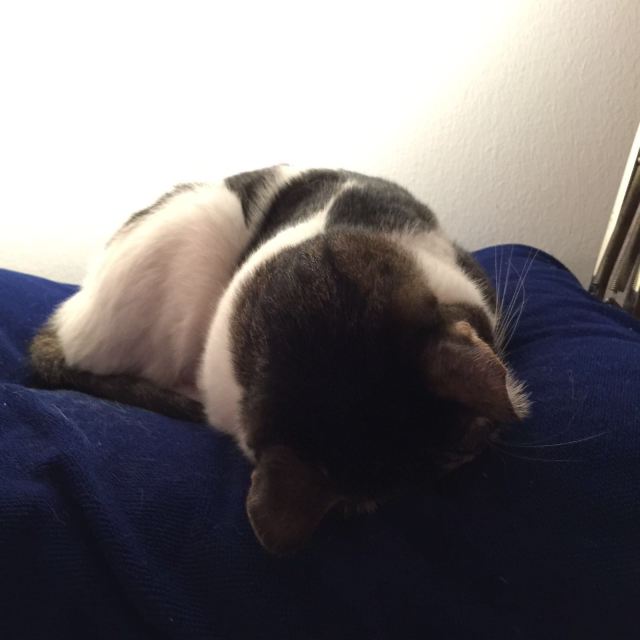 24 - Sleeping on his blankie