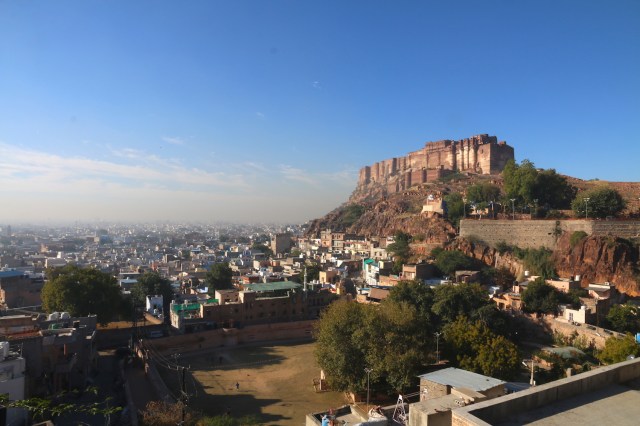 29 - Backward Glance