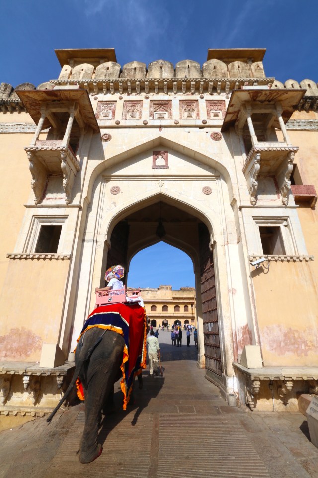 37 - Elephant at the Entrance