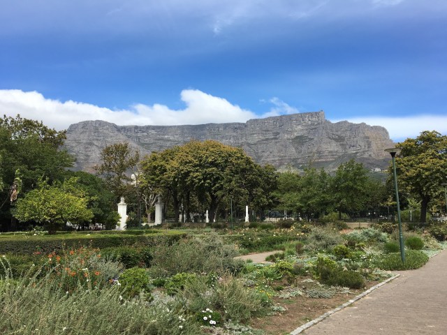 Table Mountain