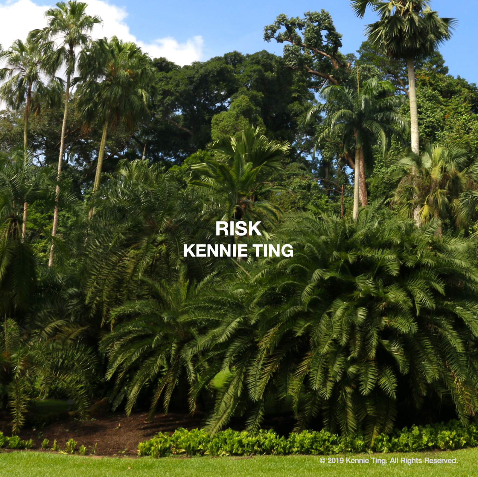 RISK COVER