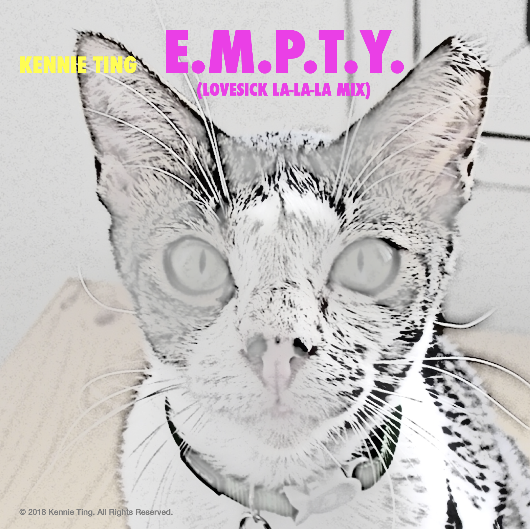 EMPTY LALALA COVER